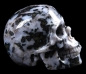 Preview: Gabbro Skull